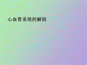 心血管系统的解剖.ppt