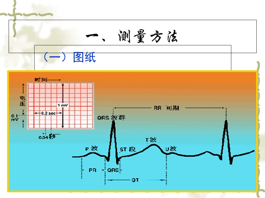 心电图检查-测量方法和临床意义.ppt_第2页