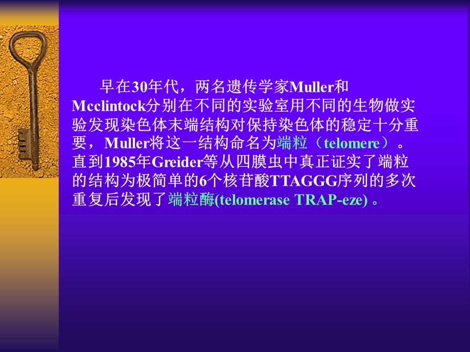 第4章基因重组端粒与端粒酶ppt课件.ppt_第2页