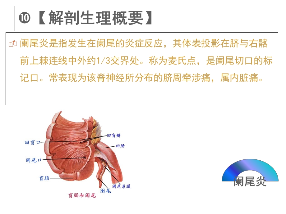 急性阑尾炎患者的护理PPT课件.ppt_第2页