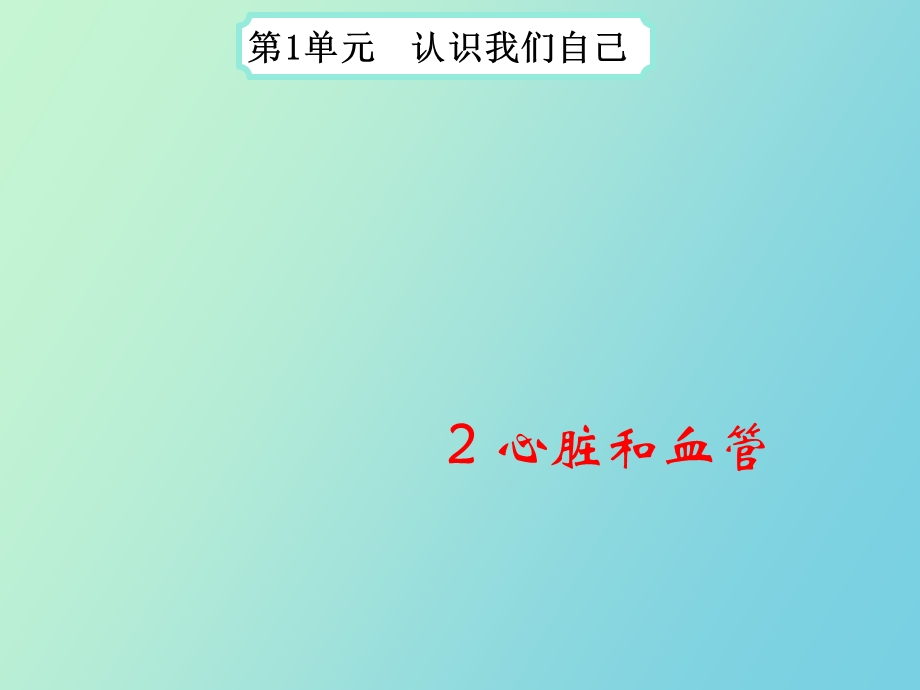 心脏和血管教学.ppt_第1页