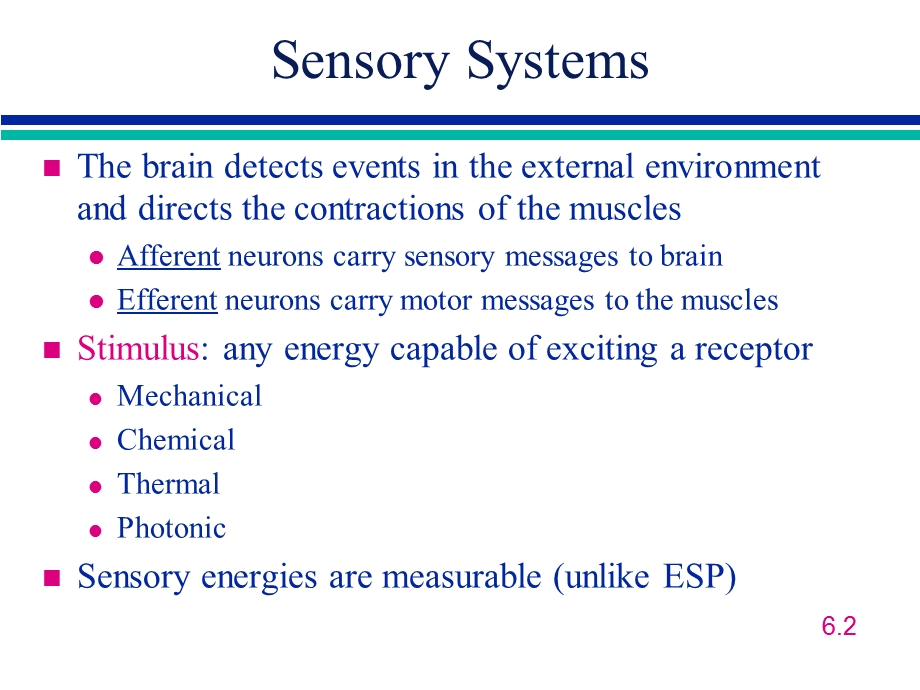 VisionFlorida Atlantic University视觉佛罗里达大西洋大学.ppt_第2页