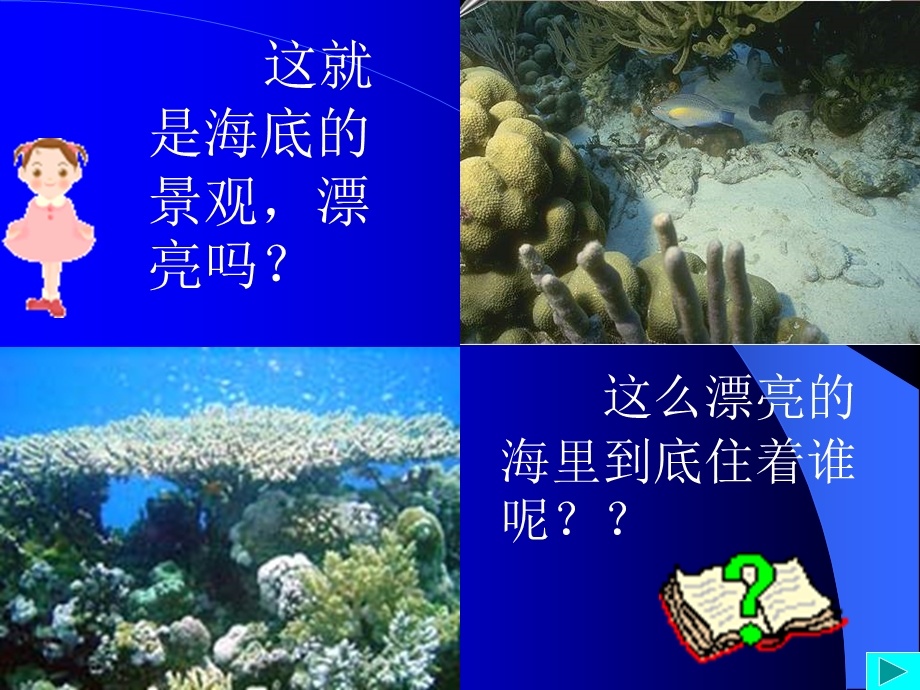 小班科学活动海洋动物.ppt_第2页