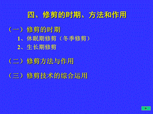 果树整形修剪-修剪方法.ppt