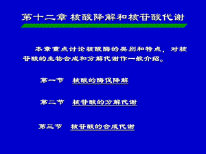 生化23 核酸的酶促降解及核苷酸代谢.ppt