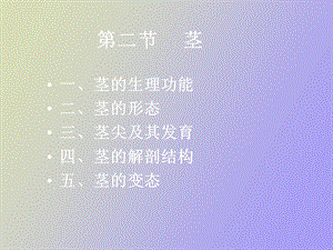 植物的营养器官茎.ppt