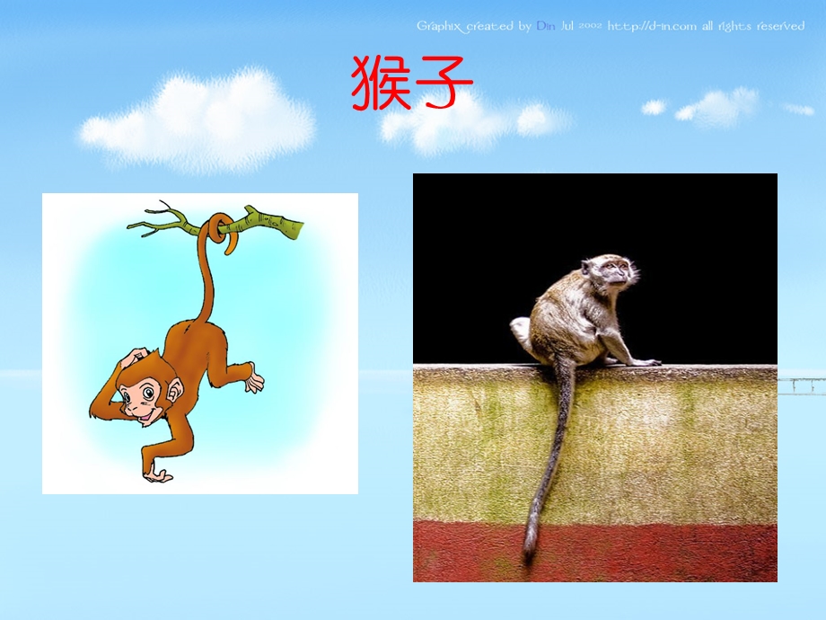 幼儿园语言教育活动《谁的尾巴》.ppt_第2页