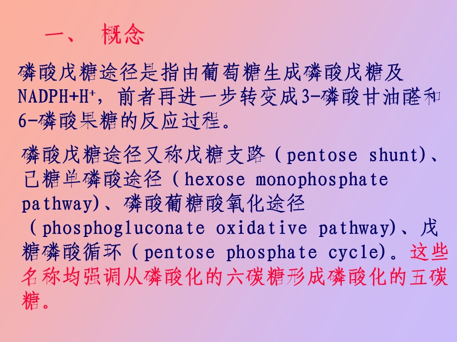 戊糖磷酸途径-异生-糖原合成与分解.ppt_第3页