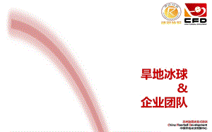 旱地冰球与企业文化.ppt