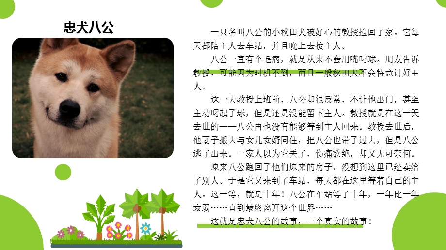 我的动物朋友.ppt_第2页