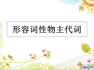 形容词性物主代词用法.ppt