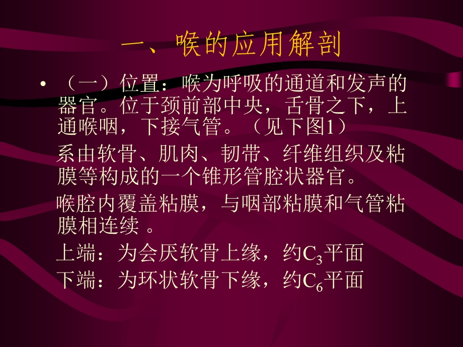 喉的应用解剖及生理.ppt_第2页