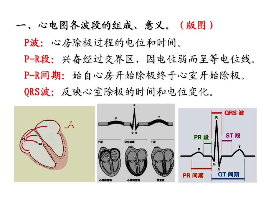 正常ecg及心房心室.ppt_第3页