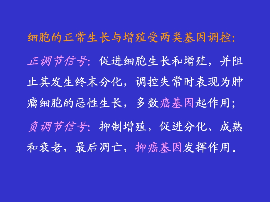 生化癌基因、抑癌基因与生长因子.ppt_第2页