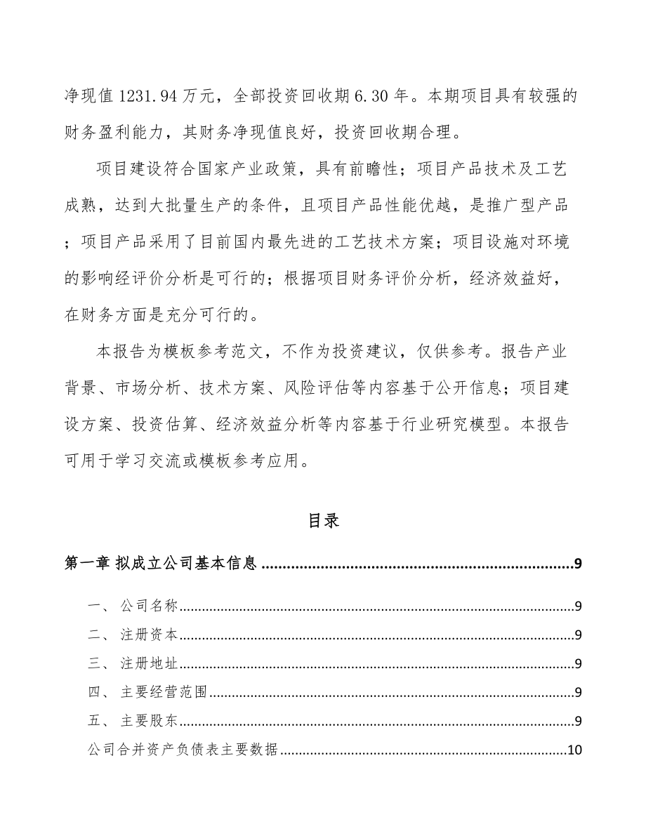 吉林省关于成立机动车灯具公司可行性研究报告.docx_第3页