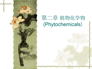 植物化学物Phytochemical.ppt