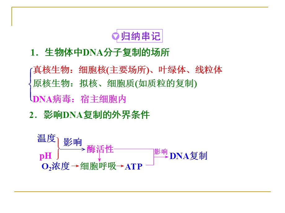 有关DNA分子复制的计算.ppt_第2页