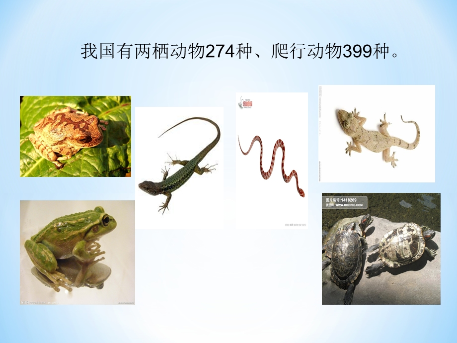 接近整百数的加减法简便计算.ppt_第3页