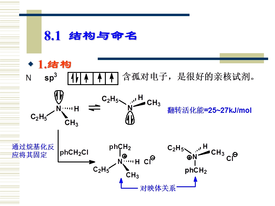 有机化学学习笔记：第八章脂肪胺.ppt_第2页