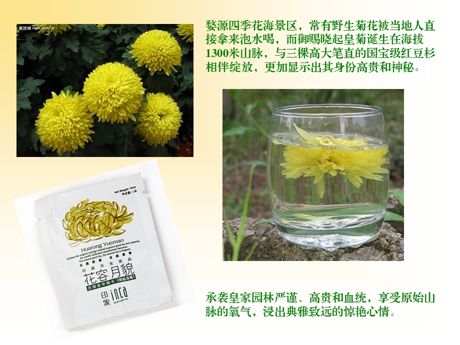 御赐晓起皇菊——清肝明目甘甜代理印家系列原生态有机饮品.ppt_第3页