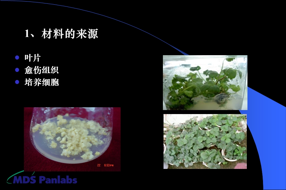 植物细胞工程2中国药科大学生物工程所有.ppt_第3页