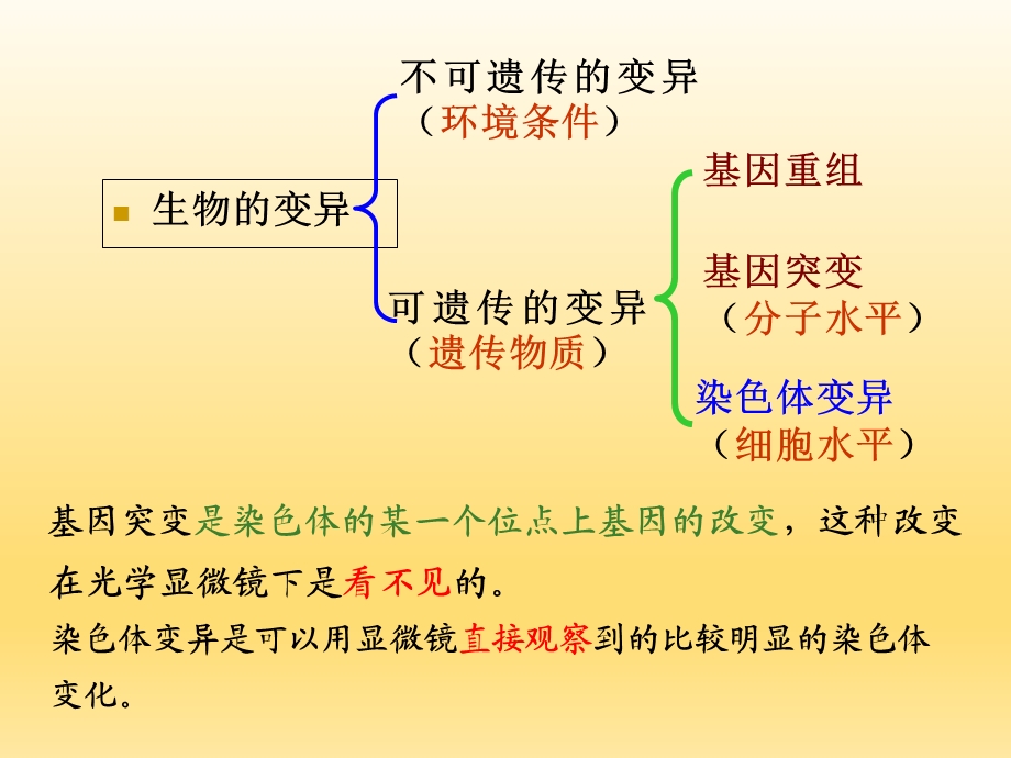 染色体变异PPT课件.ppt_第2页