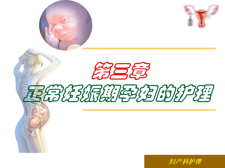 正常妊娠期孕妇的护理.ppt_第1页