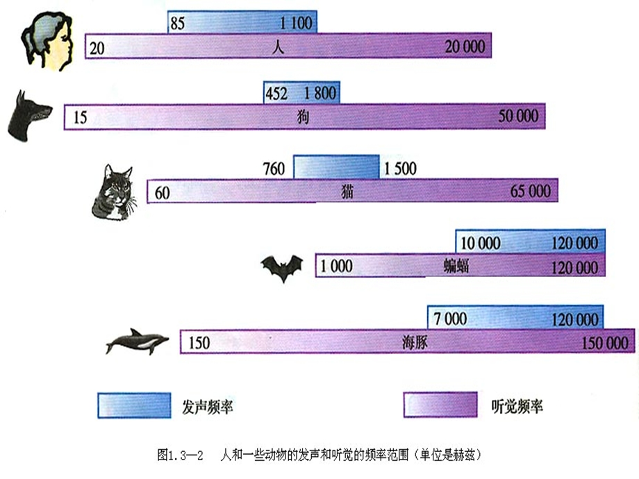 最终苏科版《人耳听不见的声音》ppt课件.ppt_第3页