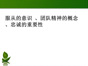 服从的意识、团队精神、忠诚的重要性.ppt