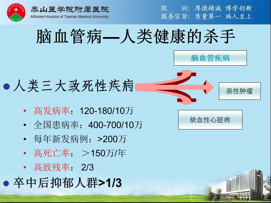 脑血管病授课0814.ppt_第3页