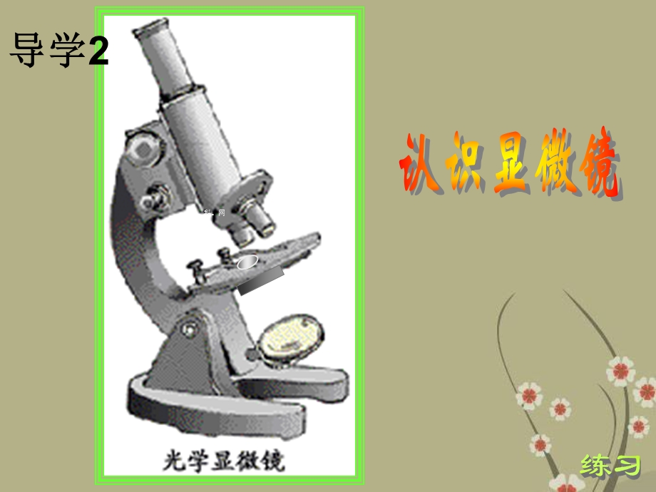 认识红细胞和白细胞.ppt_第3页