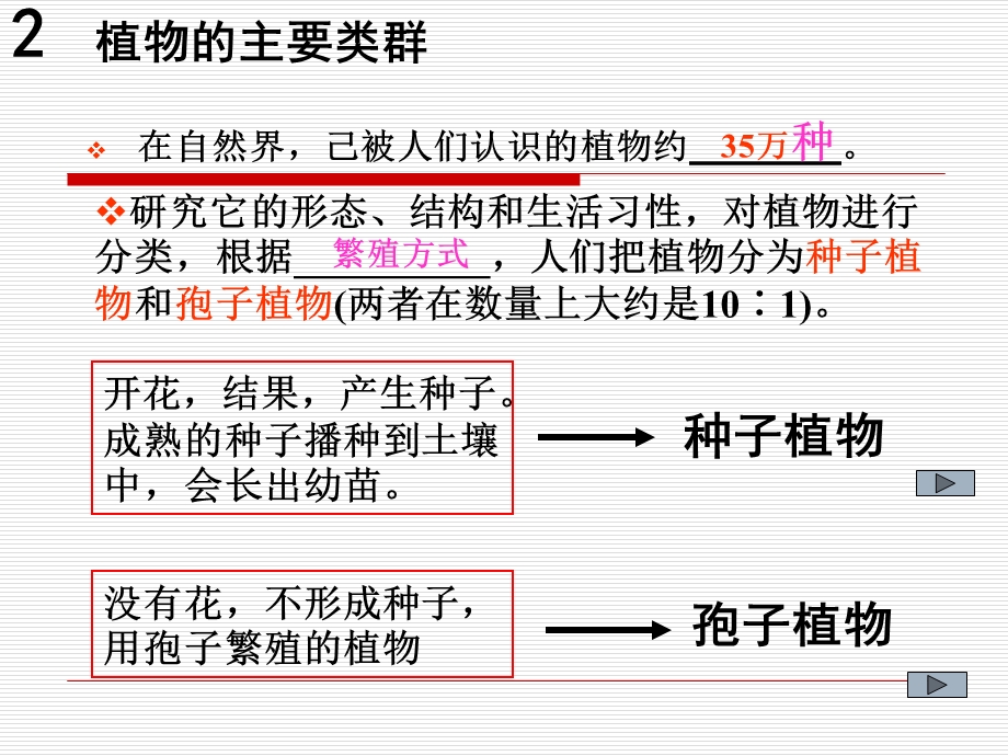 植物的主要类群.ppt_第3页