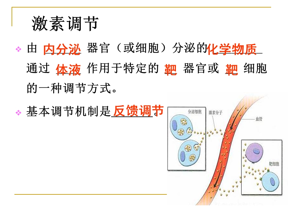 神经调节和激素调节的机制.ppt_第3页