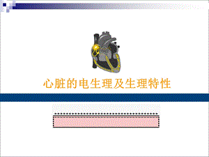 心脏的电生理学和生理特性.ppt