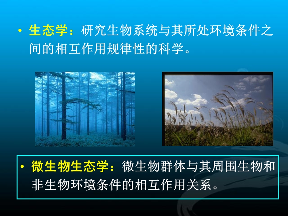 微生物的生态与分类.ppt_第2页