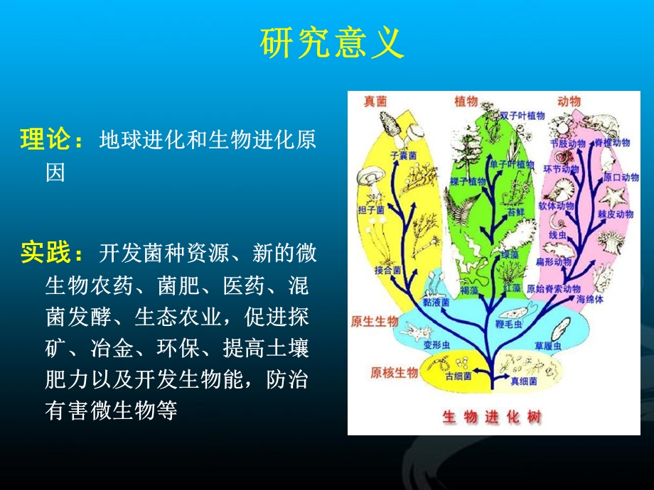 微生物的生态与分类.ppt_第3页