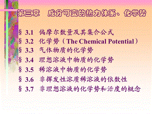 成分可变的热力体系.ppt