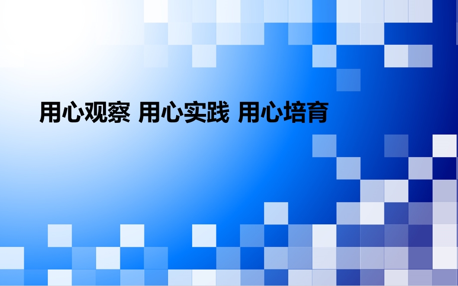 心理效应演讲.ppt_第1页