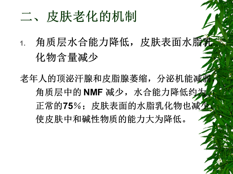 延缓皮肤老化药.ppt_第3页