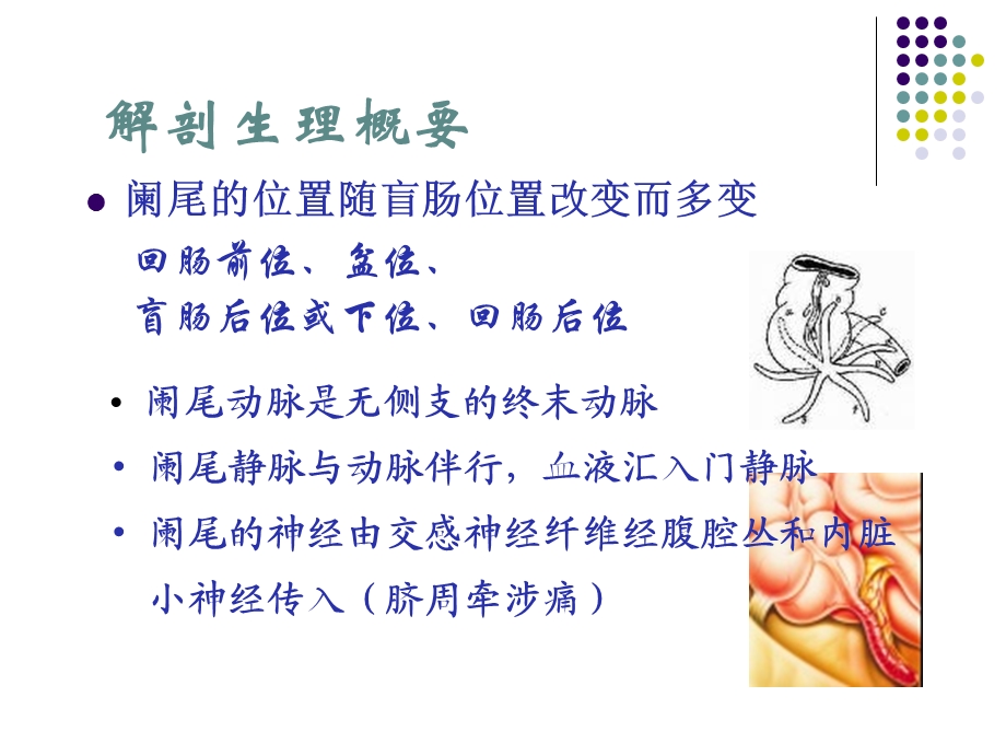 阑尾炎病人的护理成人护理学.ppt_第3页