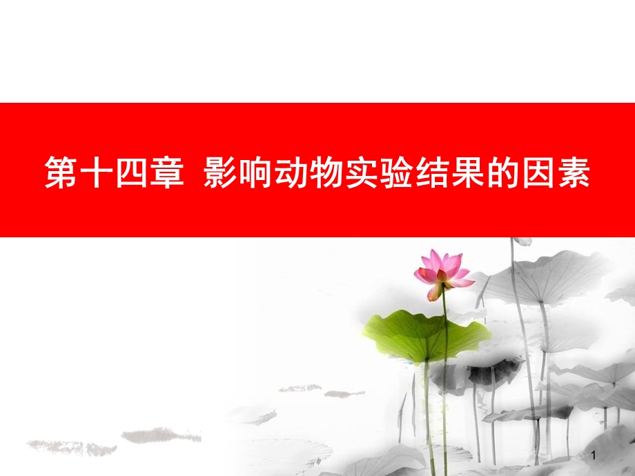 影响动物实验结果的因素.ppt_第1页