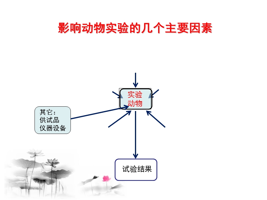 影响动物实验结果的因素.ppt_第3页