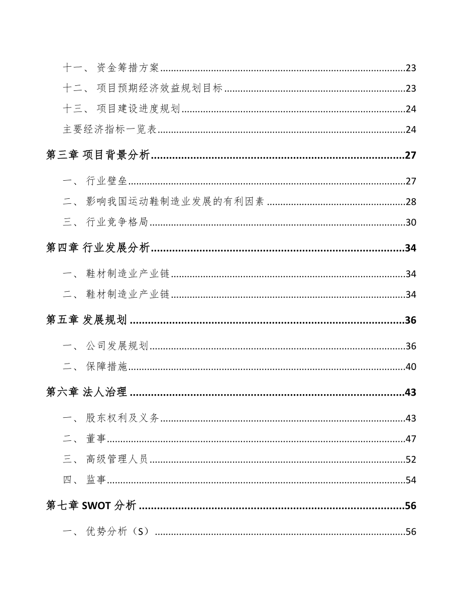 呼和浩特鞋材项目可行性研究报告.docx_第2页