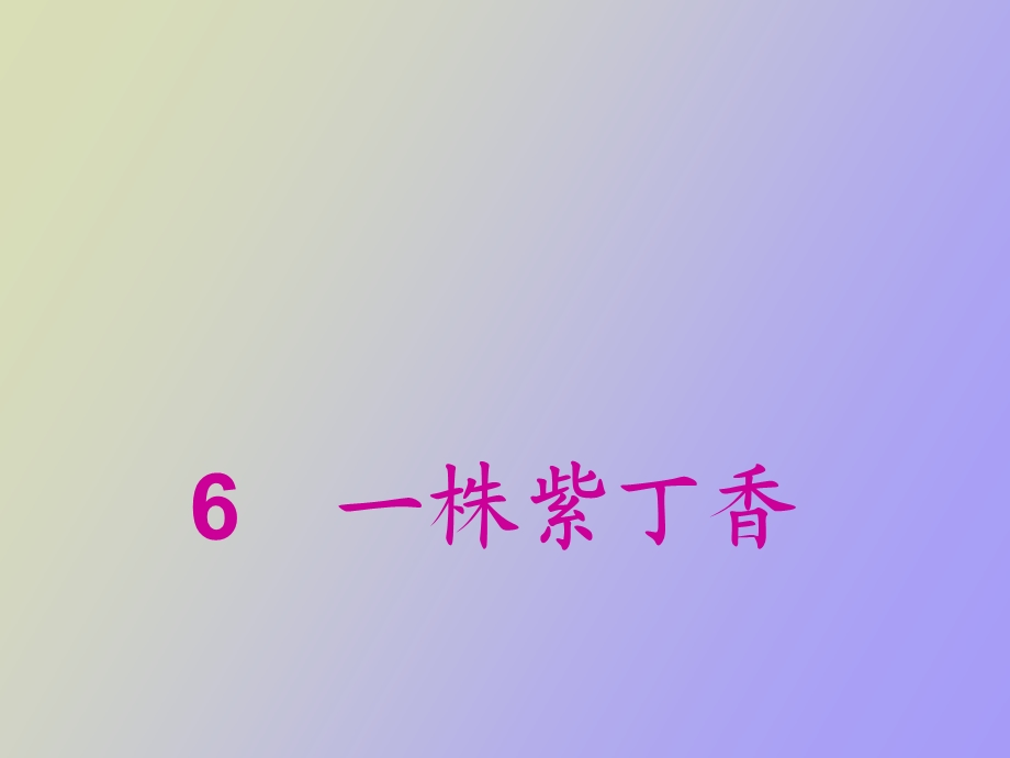 株紫丁香课件陶.ppt_第2页