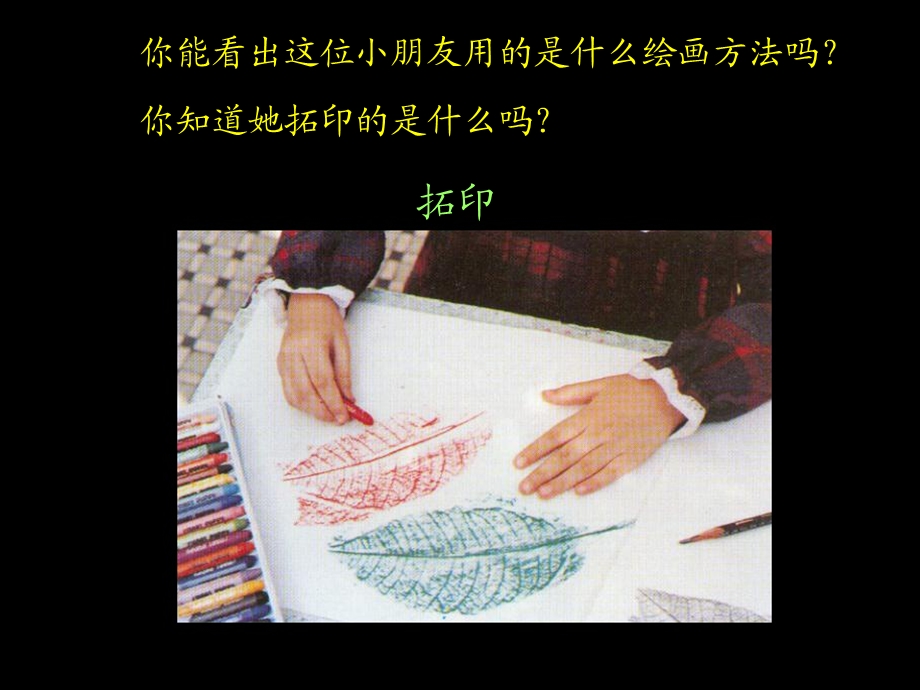 拓印树叶真有趣.ppt_第3页