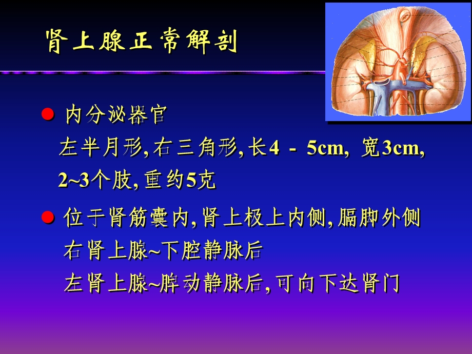 肾上腺病变的影像诊断.ppt_第3页