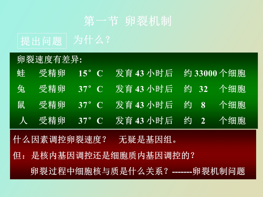 早期发育的机制.ppt_第2页