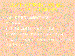 正常与炎症脱落细胞学形态.ppt