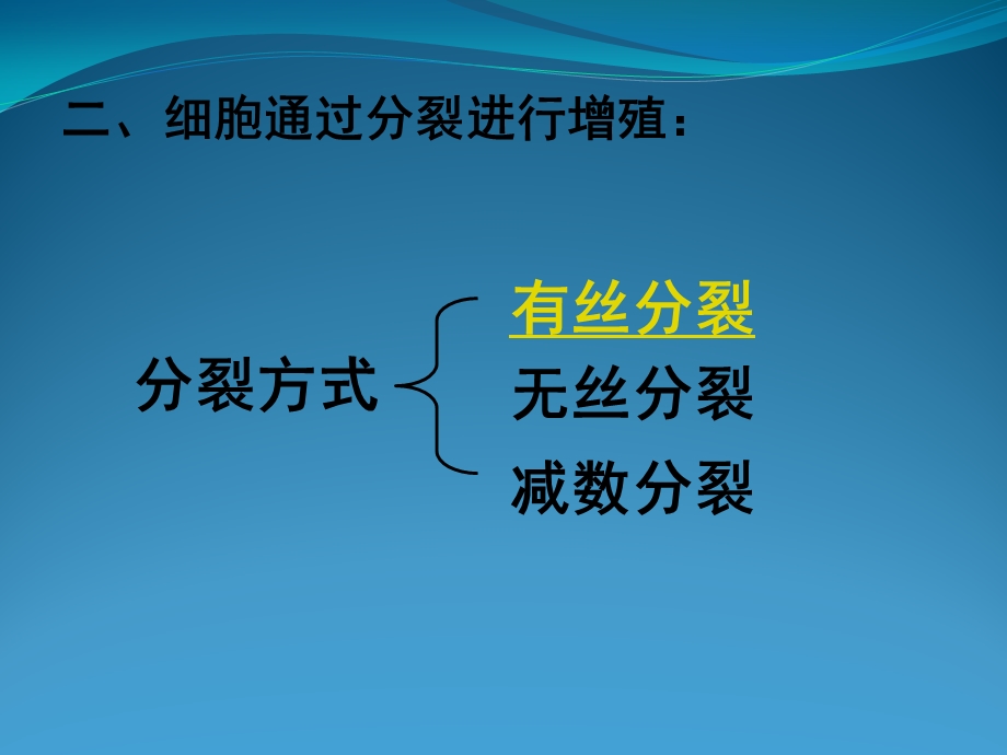 细胞的增殖.ppt_第2页