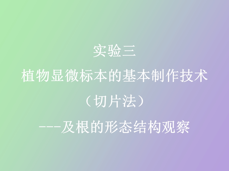 植物学实验三切片法及根形态.ppt_第2页